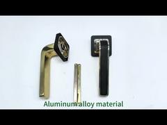 Cận cảnh: Tay nắm hai mặt cho cửa ra vào và cửa sổ tăng cường tính năng